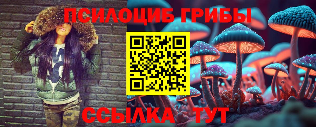 Псилоцибиновые грибы MAGIC MUSHROOMS Киселёвск